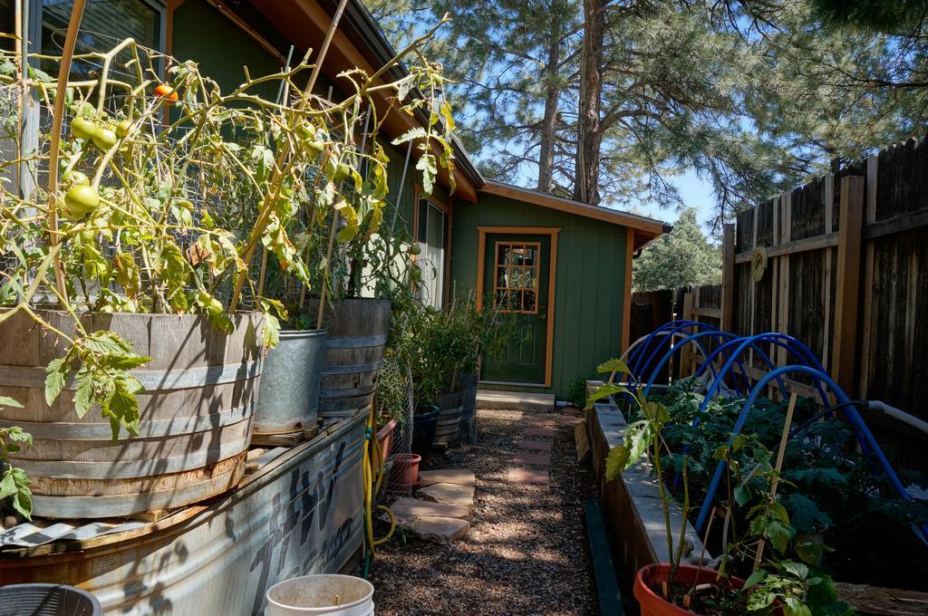 Elden Trails Bed And Breakfast Flagstaff Exterior photo